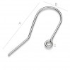 Ear Wire, Fish Hook, Earring Findings, BO 1