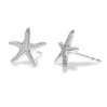 Starfish Earring Posts, Earring Findings, Jewelry Findings, ODL-00354 KLS