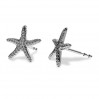 Starfish Earring Posts, Earring Findings, Jewelry Findings, ODL-00354 KLS