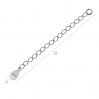 SILVER EXTENSION R1 50