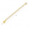 SILVER EXTENSION R1 50