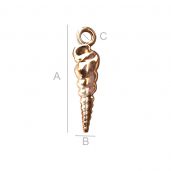 ODL-00032 - Sea shell