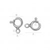Silver clasps federing type - AM 5,5 TNMP